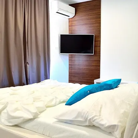Domus Lauri Modern House Umag